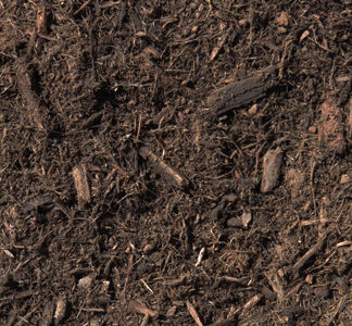 Mulch & Dirt